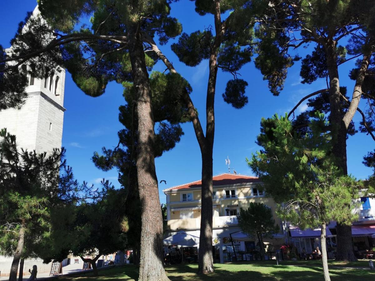 Rio B&B, 5 Stars Superior Room, Near The Sea And Park Novigrad Istria 外观 照片